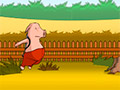 Когда свиньи в бегах