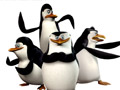Картинка с пингвином: раскраски для детей